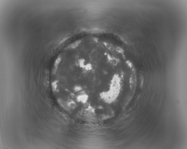 X0000078031301200611251545