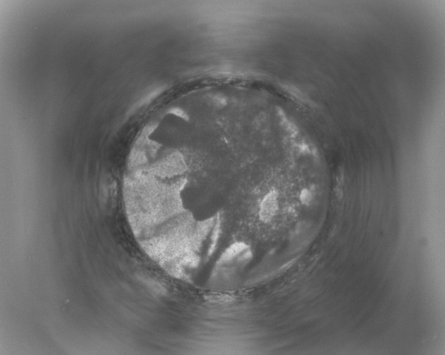 X0000078031302200611251545