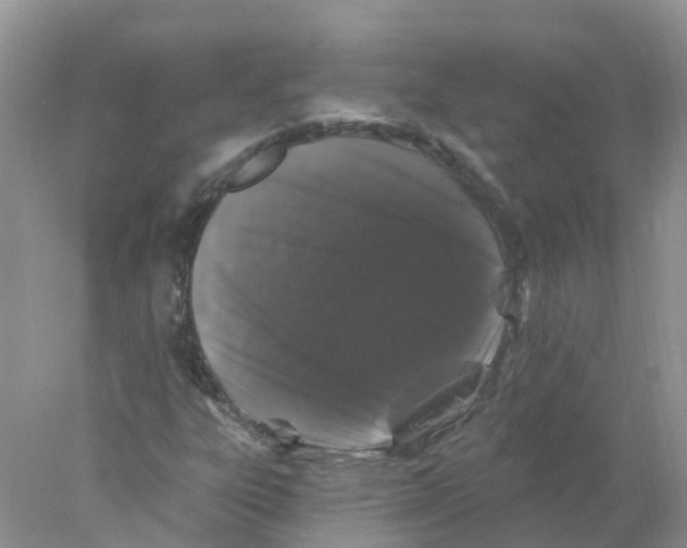 X0000078031303200611251545