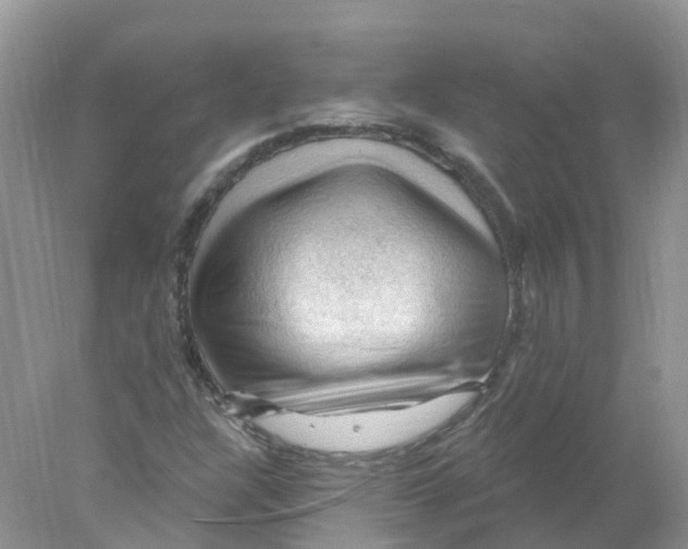 X0000078031304200611251545