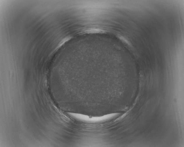 X0000078031305200611251545