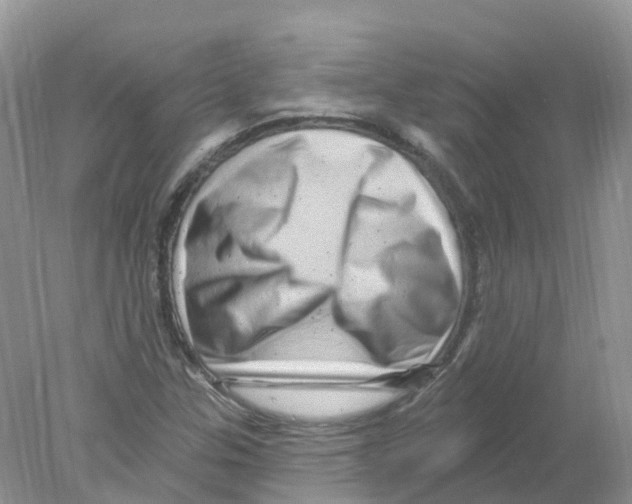 X0000078031307200611251545