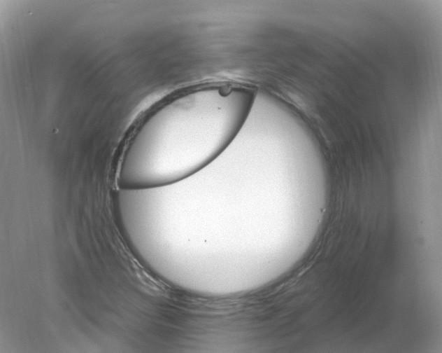 X0000078031308200611251545