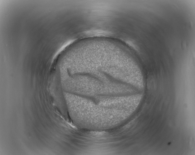 X0000078031309200611251545