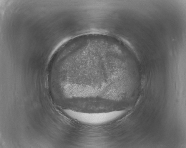 X0000078031310200611251545