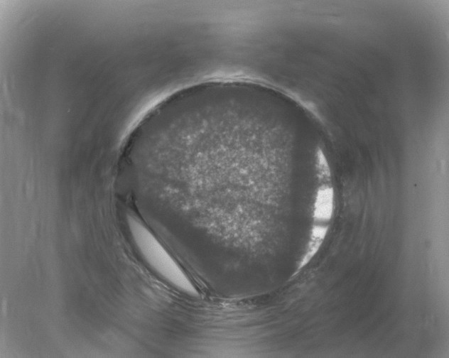 X0000078031311200611251545