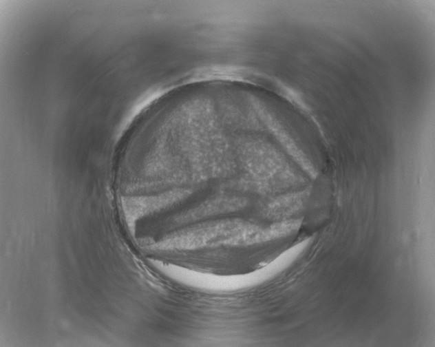 X0000078031312200611251545