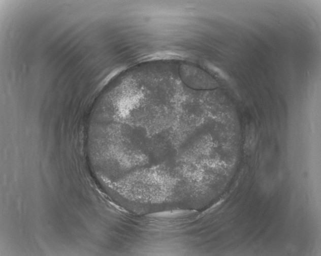 X0000078031313200611251545