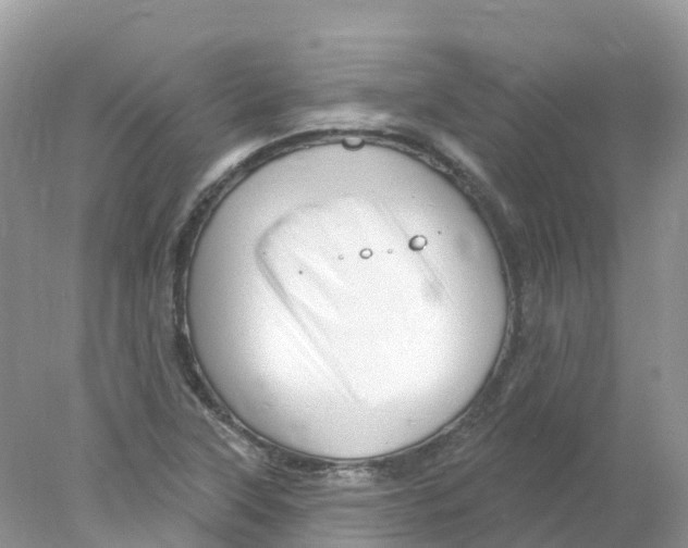 X0000078031315200611251545