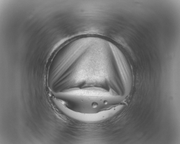 X0000078031316200611251545