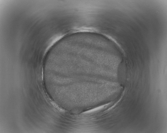 X0000078031317200611251545