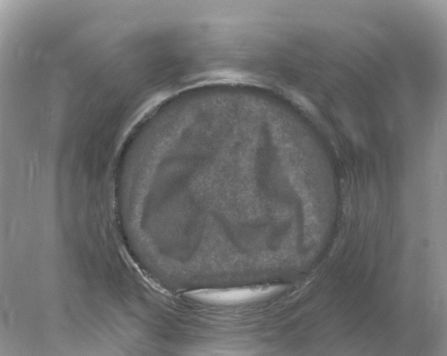 X0000078031318200611251545