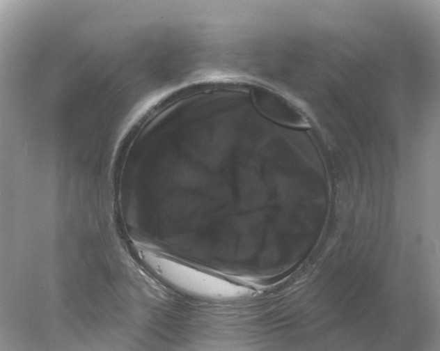 X0000078031319200611251545