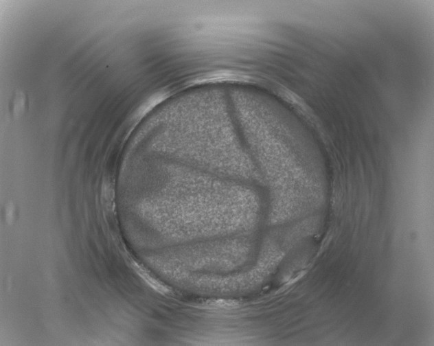 X0000078031321200611251545