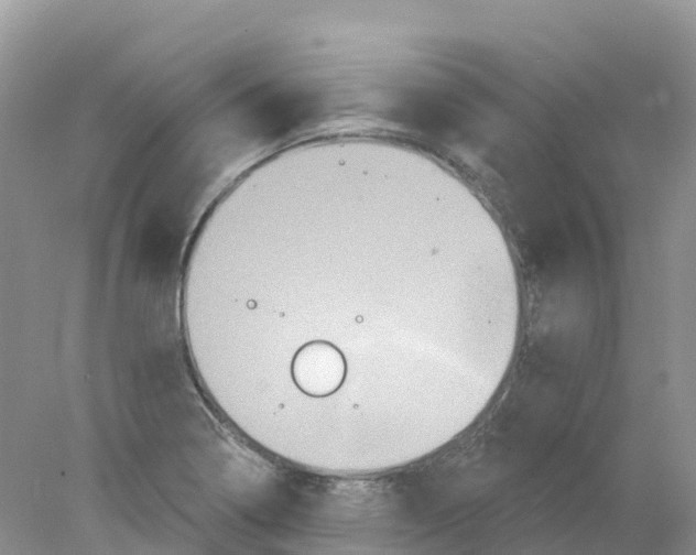 X0000078031322200611251545