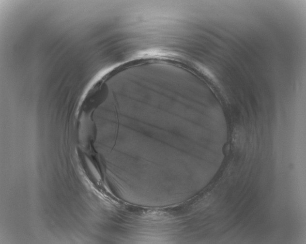 X0000078031323200611251545