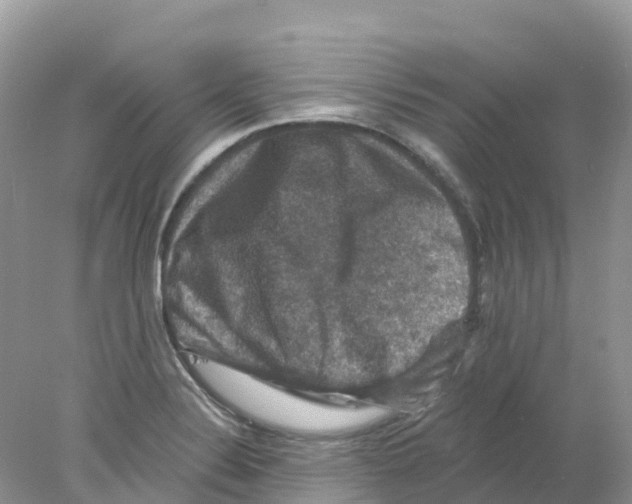 X0000078031324200611251545