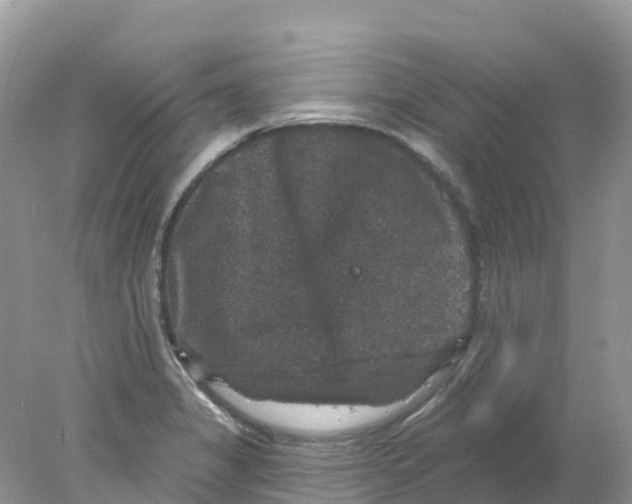 X0000078031325200611251545