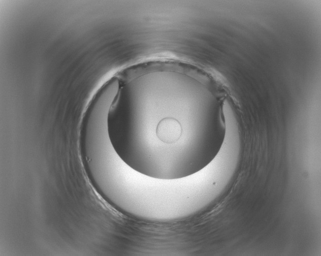 X0000078031326200611251545