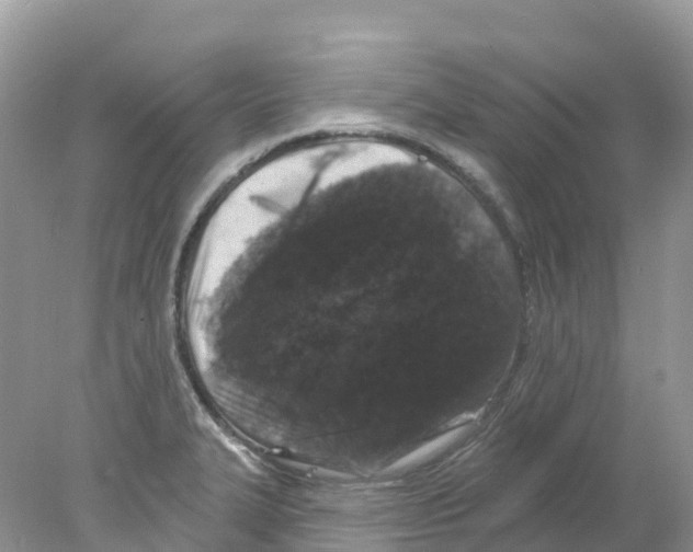 X0000078031327200611251545