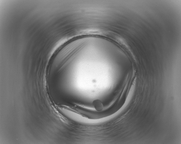 X0000078031328200611251545