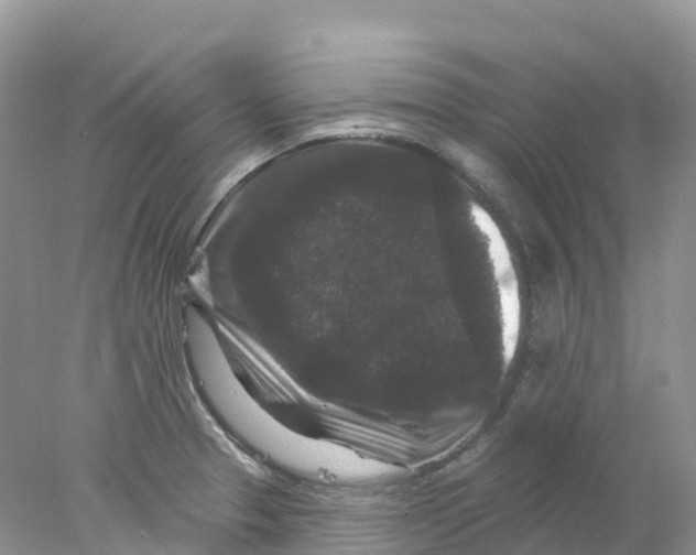 X0000078031329200611251545