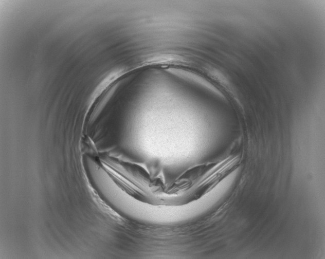 X0000078031330200611251545