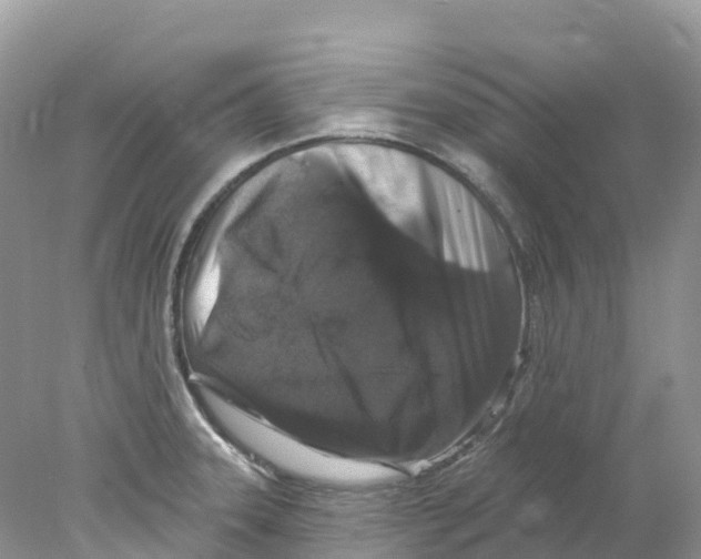 X0000078031331200611251545