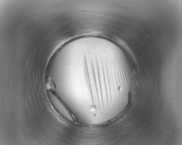 X0000078031332200611251545