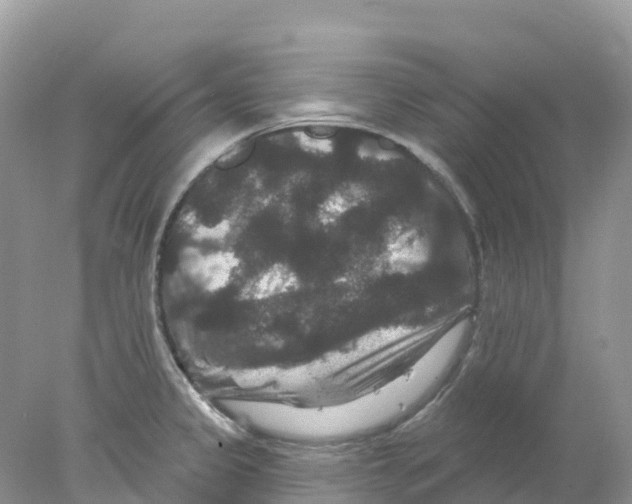 X0000078031333200611251545