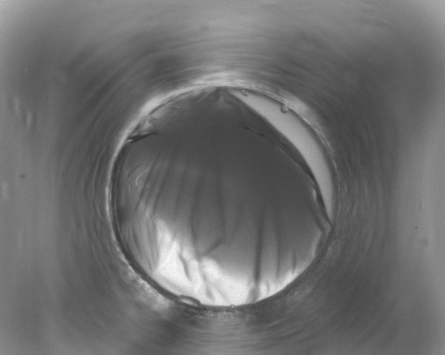 X0000078031334200611251545