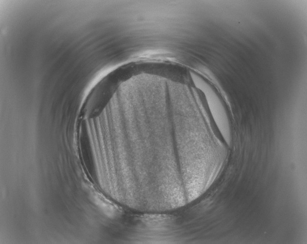 X0000078031336200611251546