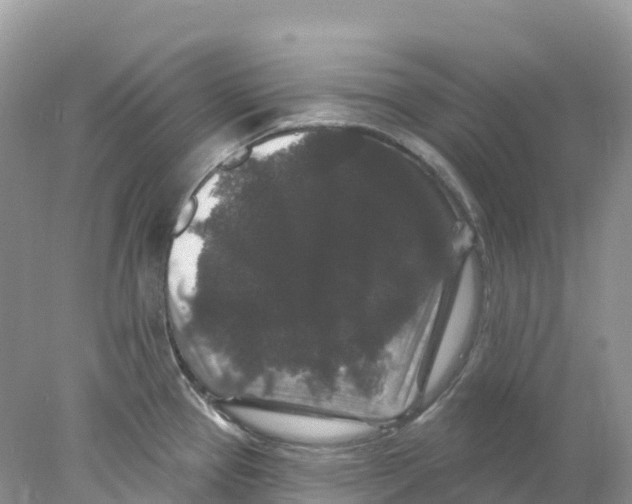 X0000078031337200611251546