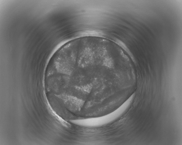 X0000078031339200611251546