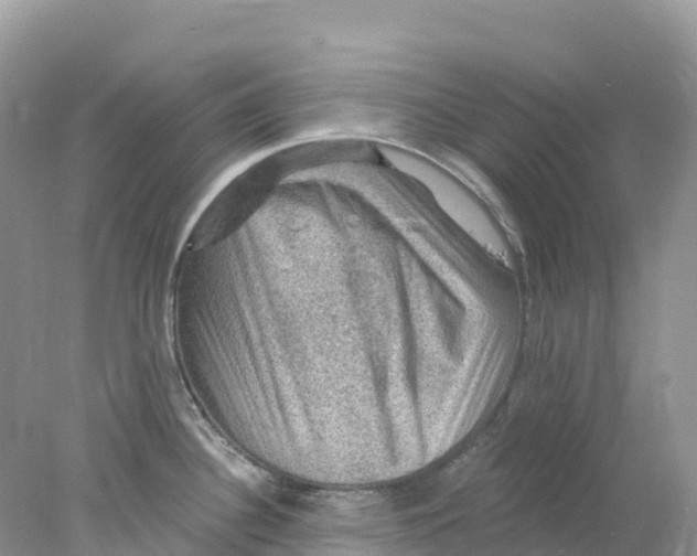 X0000078031340200611251546