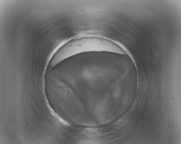 X0000078031341200611251546