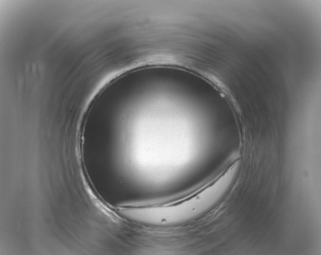 X0000078031342200611251546