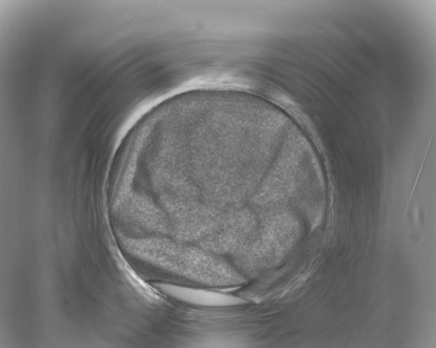 X0000078031344200611251546