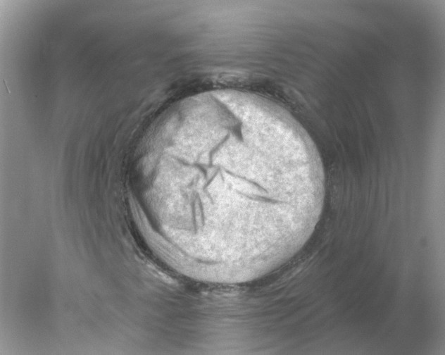 X0000078031345200611251545