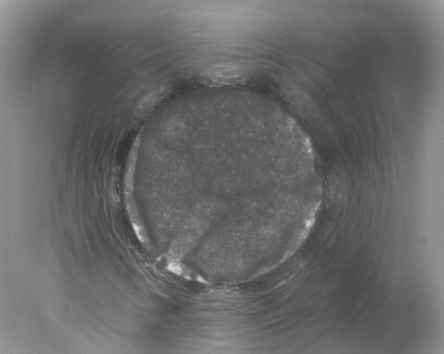 X0000078031346200611251545