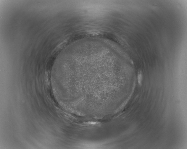 X0000078031347200611251545