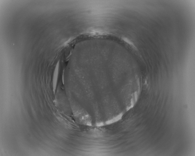 X0000078031348200611251545