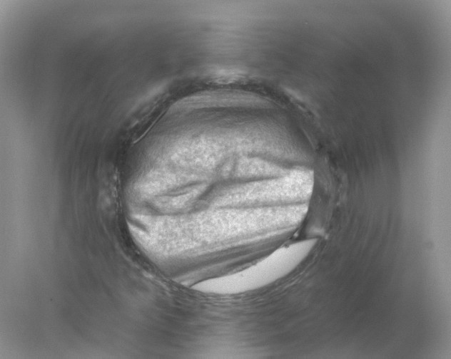 X0000078031349200611251545