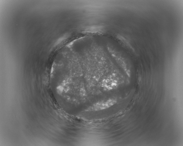 X0000078031350200611251545