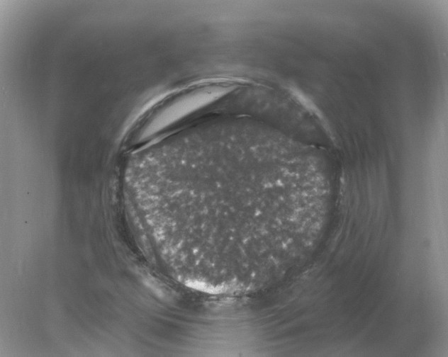 X0000078031352200611251545