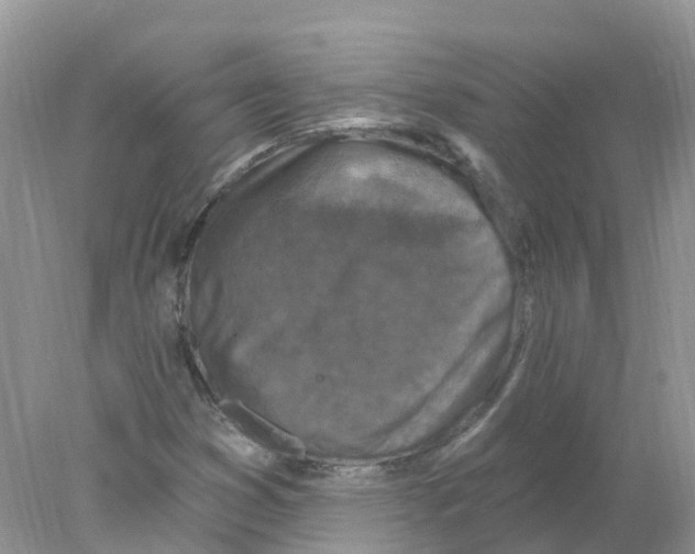 X0000078031353200611251545