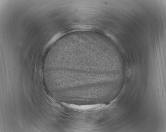 X0000078031354200611251545