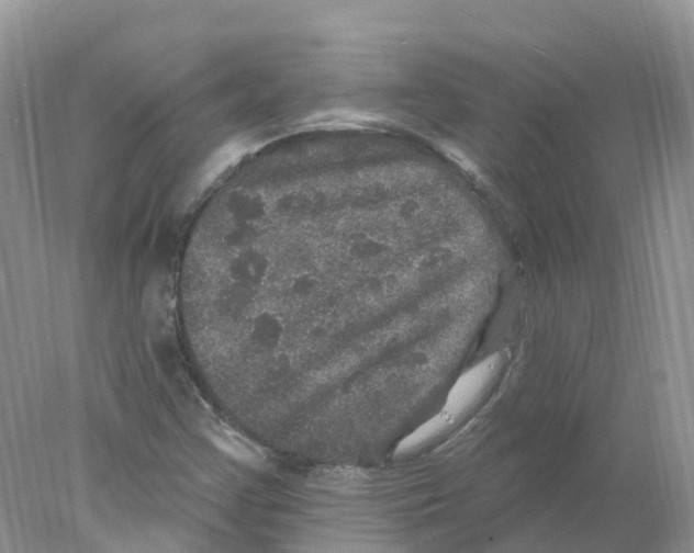 X0000078031355200611251545