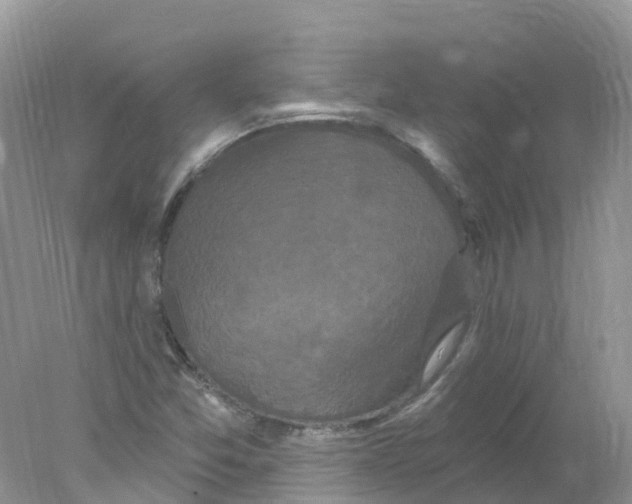 X0000078031357200611251545