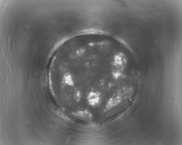 X0000078031358200611251545